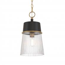 Minka-Lavery 192-876 - 1 LIGHT PENDANT
