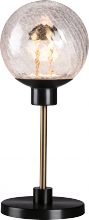 PageOne Lighting PT140962-SDG/CG - Essence Table Lamp
