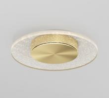 LED Lights FM-ED-HDGD - Mount Disk Gold 1400 LUMENS 3000 K