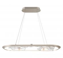 Lib & Co. CA 10177-031 - Nettuno, Small Oval LED Chandelier, Metallic Brushed Champagne