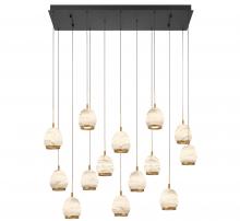 Lib & Co. CA 12142-02 - Lucidata, 14 Light Rectangular LED Chandelier, Matte Black