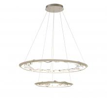 Lib & Co. CA 12164-041 - Nettuno,2 Tier LED Chandelier, 
Painted Brushed Champagne