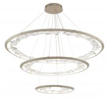 Lib & Co. CA 12165-041 - Nettuno,3 Tier LED Chandelier, 
Painted Brushed Champagne