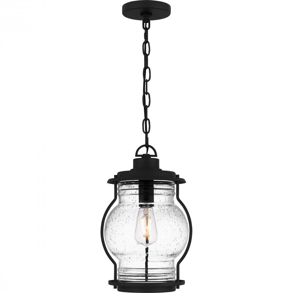 Luther 1-Light Earth Black Outdoor Hanging Lantern