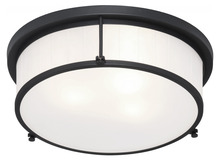 Matteo Lighting M14903MB - Caisse Claire Ceiling Mount