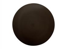 DISCUS BLANKING PLATE