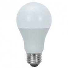 Clearance A19 - LED Regular Bulb