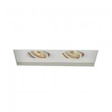 WAC Canada MT-216TL-WT - Low Voltage Multiple Invisible Two Light Trim