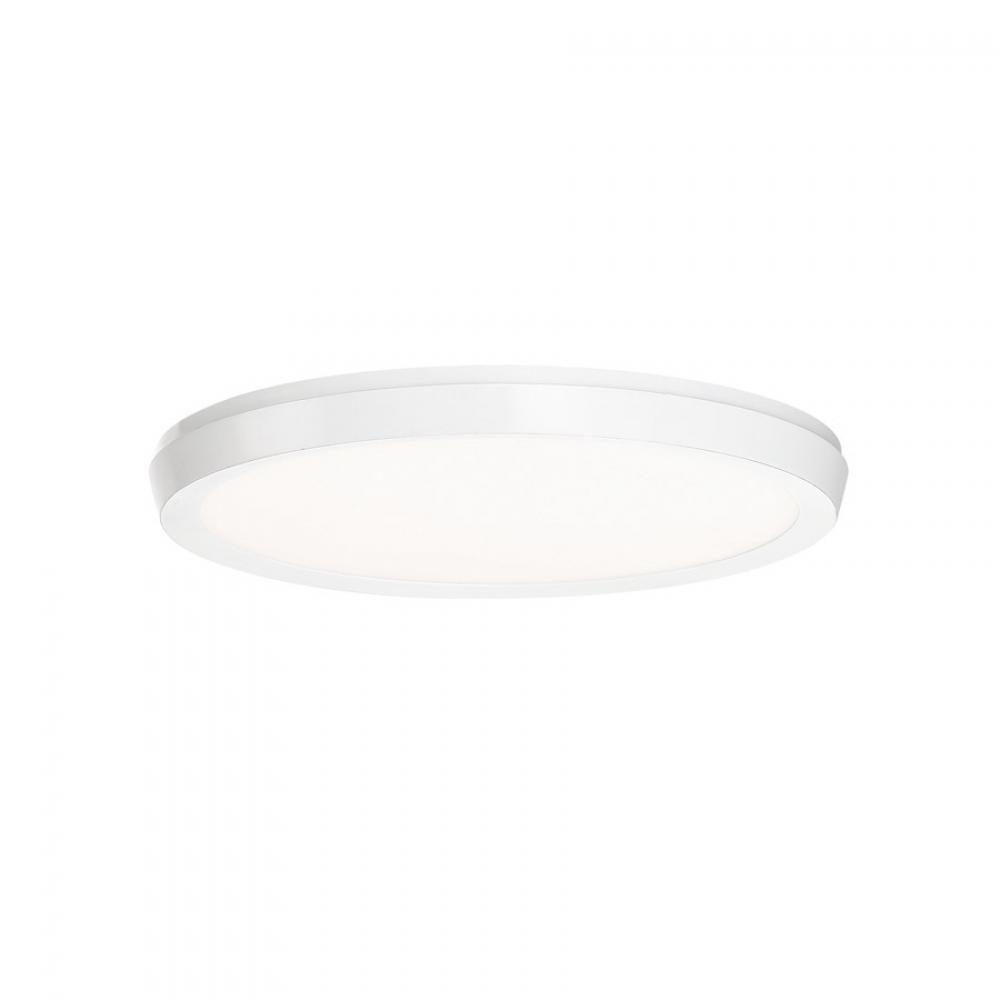 Argo Flush Mount Light