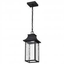 Nuvo 62/5996 - Austen Collection; 1 Light Outdoor Hanging Fixture; LED; SMART - Starfish RGBTW; CCT Selectable;