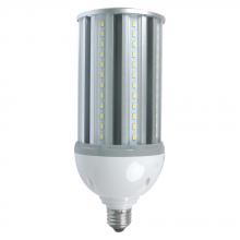 Standard Products 65046 - LED Lamp High Intensity E26 Base 36W 100-277V 50K Non-Dim    STANDARD
