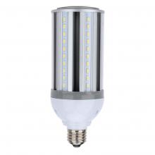 Standard Products 65048 - LED Lamp High Intensity E39 Base 54W 100-277V 40K Non-Dim    STANDARD