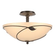 Hubbardton Forge - Canada 126732-SKT-05-SS0052 - Forged Leaves Large Semi-Flush