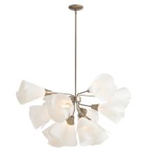 Hubbardton Forge - Canada 134510-SKT-MULT-84-SH1987 - Mobius 12-Light Pendant