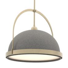 Hubbardton Forge - Canada 137462-SKT-MULT-84-20 - Atlas Large Pendant