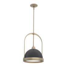 Hubbardton Forge - Canada 187462-SKT-MULT-84-10 - Atlas Small Pendant