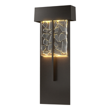 Hubbardton Forge - Canada 302518-LED-14-YP0669 - Shard XL Outdoor Sconce