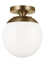 Visual Comfort & Co. Studio Collection 7518-848 - Leo - Hanging Globe One Light Wall / Ceiling Semi-Flush Mount