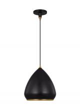 Visual Comfort & Co. Studio Collection TP1121AIBBS - Clasica casual 1-light indoor dimmable medium ceiling hanging pendant in aged iron grey finish with